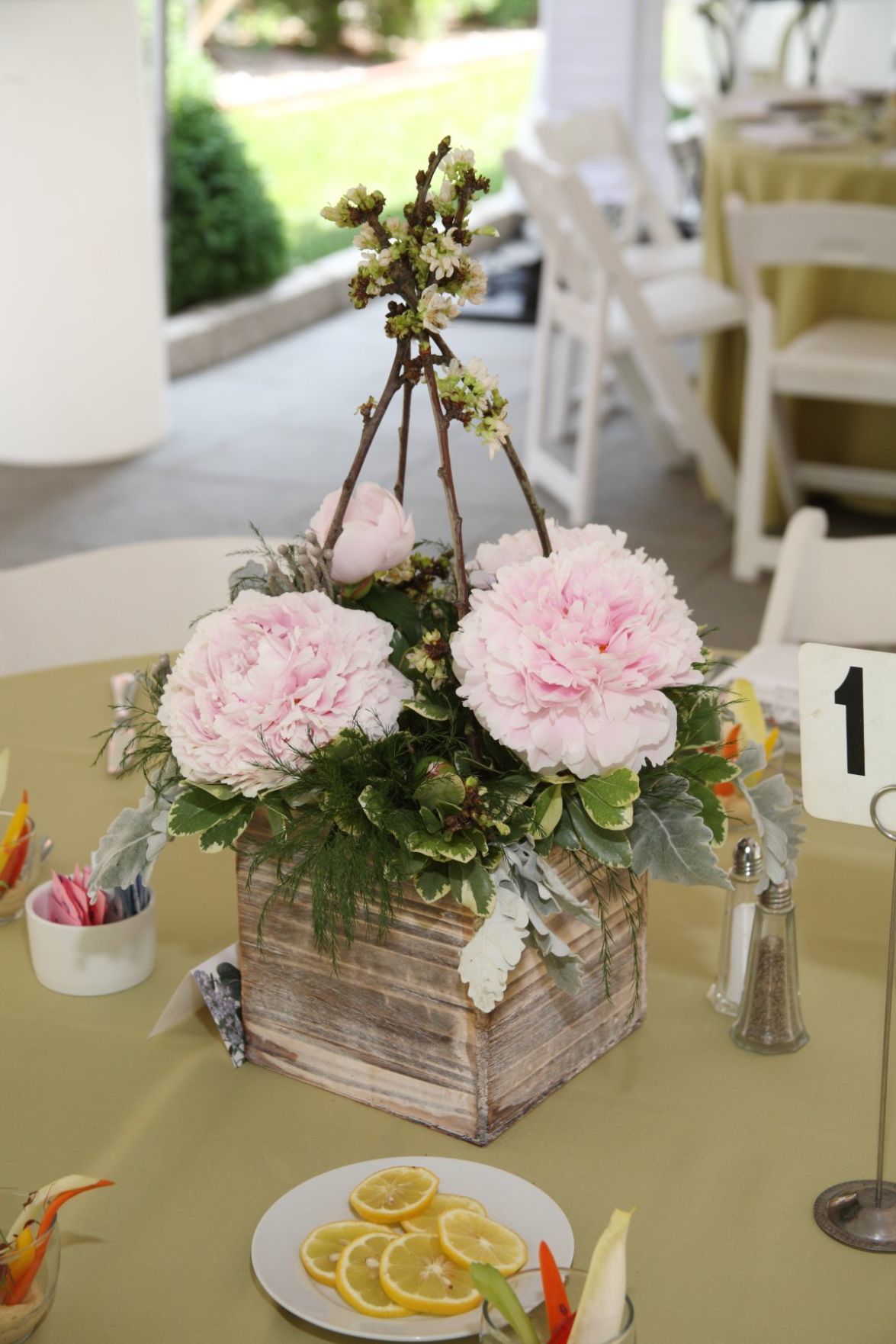 051718TowerGroveParkFP_03.JPG